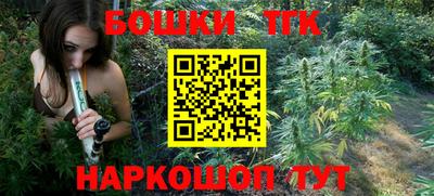 индика Мариинск
