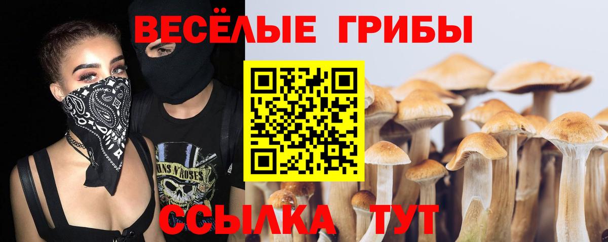 Псилоцибиновые грибы Psilocybine cubensis  Вход с VPN  Урус-Мартан 